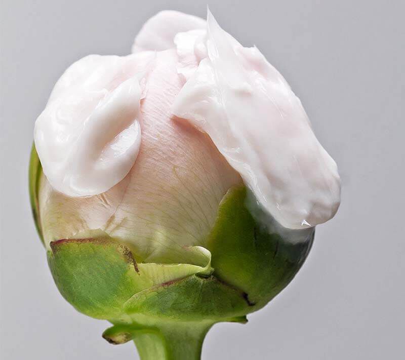 Conditioner Ingredients and Fragrances