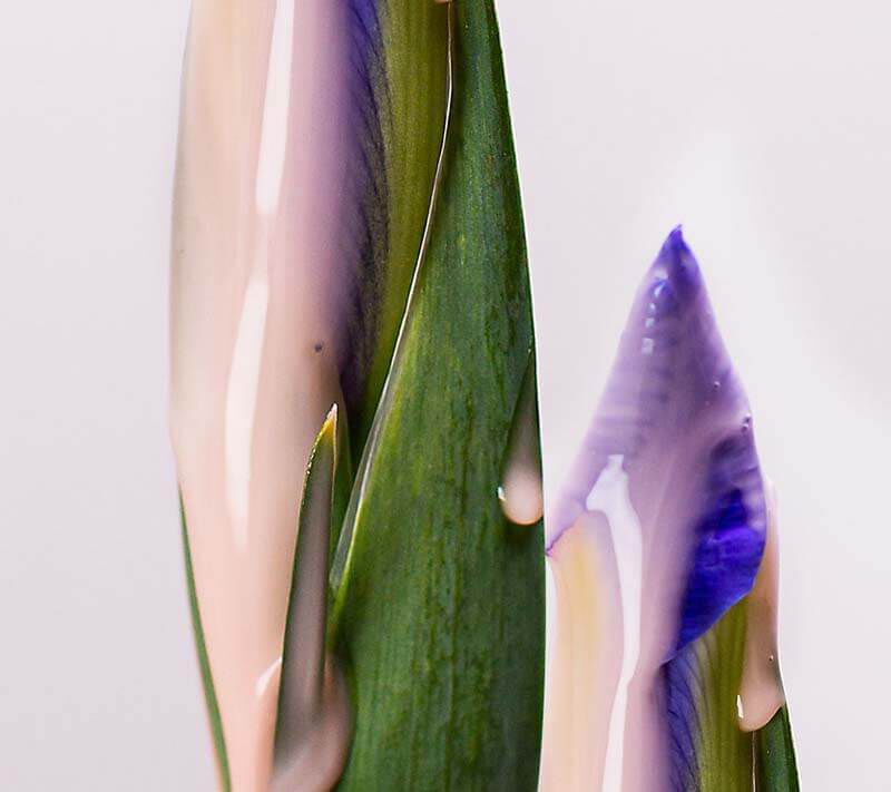 Conditioner Ingredients and Fragrances