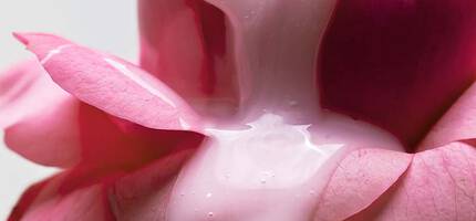 Conditioner Ingredients and Fragrances